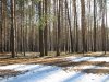 Клуб Ниссан Террано | Форум Terrano-Club.Ru | Фото: IMG_7106_1.jpg