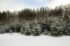 Клуб Ниссан Террано | Форум Terrano-Club.Ru | Фото: IMG_7441.jpg