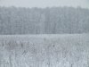 Клуб Ниссан Террано | Форум Terrano-Club.Ru | Фото: DSCF7188.JPG