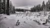 Клуб Ниссан Террано | Форум Terrano-Club.Ru | Фото: DSC_0042_Snapseed1.jpg