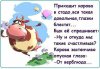 Клуб Ниссан Террано | Форум Terrano-Club.Ru | Фото: dc50d7bf420a6f7956ba6f6c627cd15a-ot_verblyuda....jpg
