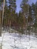 Клуб Ниссан Террано | Форум Terrano-Club.Ru | Фото: IMG_20160327_125129.jpg