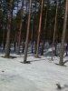 Клуб Ниссан Террано | Форум Terrano-Club.Ru | Фото: IMG_20160327_125116.jpg