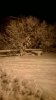 WP_20151113_001.jpg