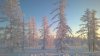 WP_20160115_073.jpg