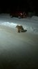 WP_20151112_010.jpg