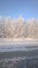 WP_20151114_002.jpg