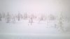 WP_20160105_004.jpg