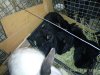 IMG_2016-04-10_132542.jpg
