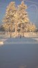 WP_20151112_006.jpg