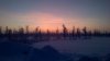 WP_20160115_077[1].jpg