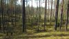 Клуб Ниссан Террано | Форум Terrano-Club.Ru | Фото: 20160501_153725.jpg
