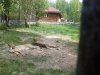 Клуб Ниссан Террано | Форум Terrano-Club.Ru | Фото: 20160523_145246.jpg