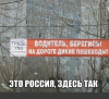 Клуб Ниссан Террано | Форум Terrano-Club.Ru | Фото: 1.png