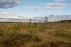 Клуб Ниссан Террано | Форум Terrano-Club.Ru | Фото: 05 июн 20-32 1-320 сек    f - 3,5 ISO 100.jpg