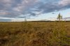 Клуб Ниссан Террано | Форум Terrano-Club.Ru | Фото: 05 июн 20-36 1-250 сек    f - 3,5 ISO 100.jpg
