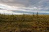Клуб Ниссан Террано | Форум Terrano-Club.Ru | Фото: 05 июн 20-36 1-250 сек    f - 3,5 ISO 100-2.jpg