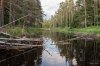 Клуб Ниссан Террано | Форум Terrano-Club.Ru | Фото: 05 июн 21-20 1-40 сек    f - 3,5 ISO 250.jpg