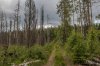 Клуб Ниссан Террано | Форум Terrano-Club.Ru | Фото: 06 июн 15-34 1-640 сек    f - 3,5 ISO 100.jpg