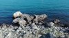 IMG_20160626_174856.jpg