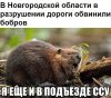 Клуб Ниссан Террано | Форум Terrano-Club.Ru | Фото: Tk0c90yZnCY.jpg