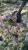 WP_20160904_12_53_34_Pro.jpg