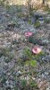 WP_20160904_12_52_17_Pro.jpg