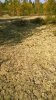 WP_20160904_12_29_18_Pro.jpg