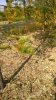 WP_20160904_12_27_39_Pro.jpg