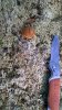 WP_20160904_12_24_23_Pro.jpg