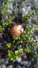 WP_20160904_12_23_16_Pro.jpg