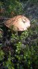 WP_20160904_12_22_50_Pro.jpg