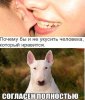 Клуб Ниссан Террано | Форум Terrano-Club.Ru | Фото: 1а.jpg