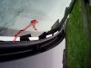IMG_20160911_143629.jpg