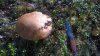 WP_20160911_12_08_29_Pro.jpg