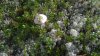 WP_20160911_12_50_40_Pro.jpg