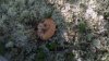 WP_20160911_12_57_41_Pro.jpg