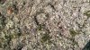 WP_20160911_12_58_36_Pro.jpg