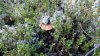 WP_20160911_13_11_44_Pro.jpg