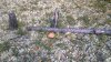 WP_20160911_13_13_26_Pro.jpg