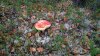 WP_20160911_13_49_15_Pro.jpg