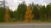 WP_20160912_13_48_06_Pro.jpg