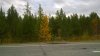 WP_20160912_13_46_28_Pro.jpg