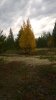 WP_20160912_13_40_26_Pro.jpg