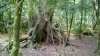 WP_20160720_12_45_47_Pro.jpg