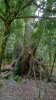 WP_20160720_12_45_53_Pro.jpg