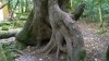 WP_20160720_12_46_07_Pro.jpg