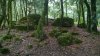 WP_20160720_12_46_15_Pro.jpg