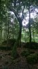WP_20160720_12_46_25_Pro.jpg