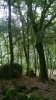 WP_20160720_12_46_39_Pro.jpg